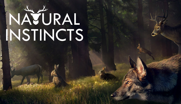 Natural Instincts: European Forest artwork
