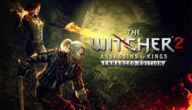 The Witcher 2: Assassins of Kings Enhanced Edition artwork