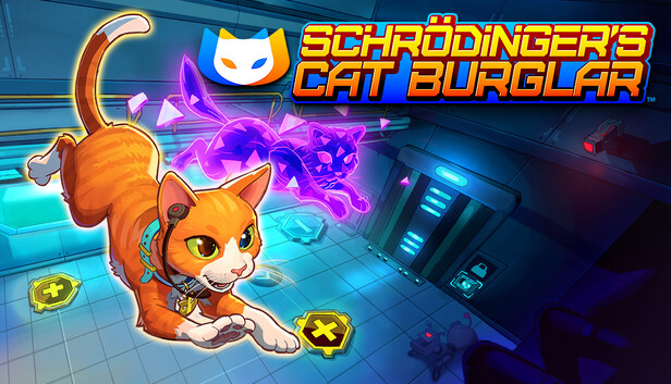 Schrodinger's Cat Burglar artwork