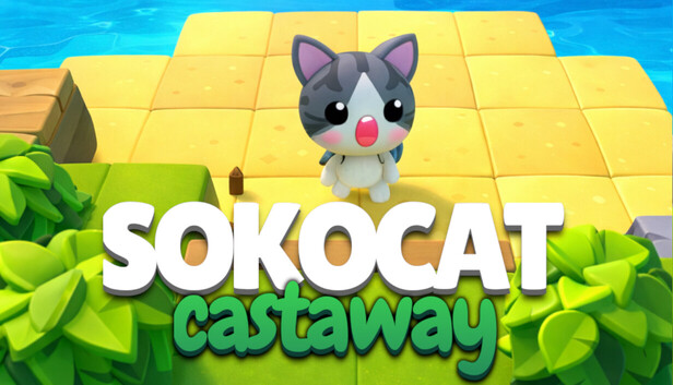 Sokocat: Castaway artwork