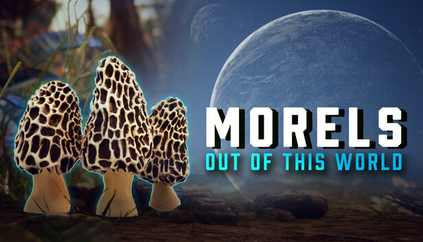 Morels: Out of this World artwork