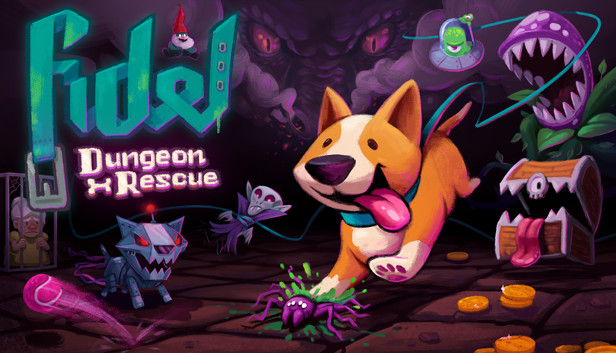 Fidel Dungeon Rescue artwork